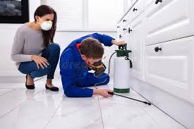 Real Estate Pest Inspections in Egypt Lake Leto, FL