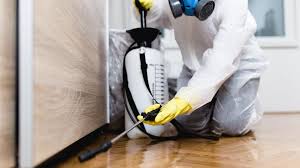 Best Pest Prevention Services  in Egypt Lake Leto, FL